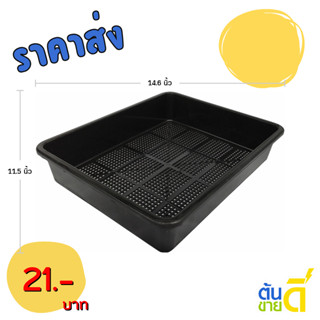 กระถาง ถาดเพาะไดโซะ ใส่กระถางต้นไม้ L ( รู ) สีดำ ขั้นต่ำ 5 …