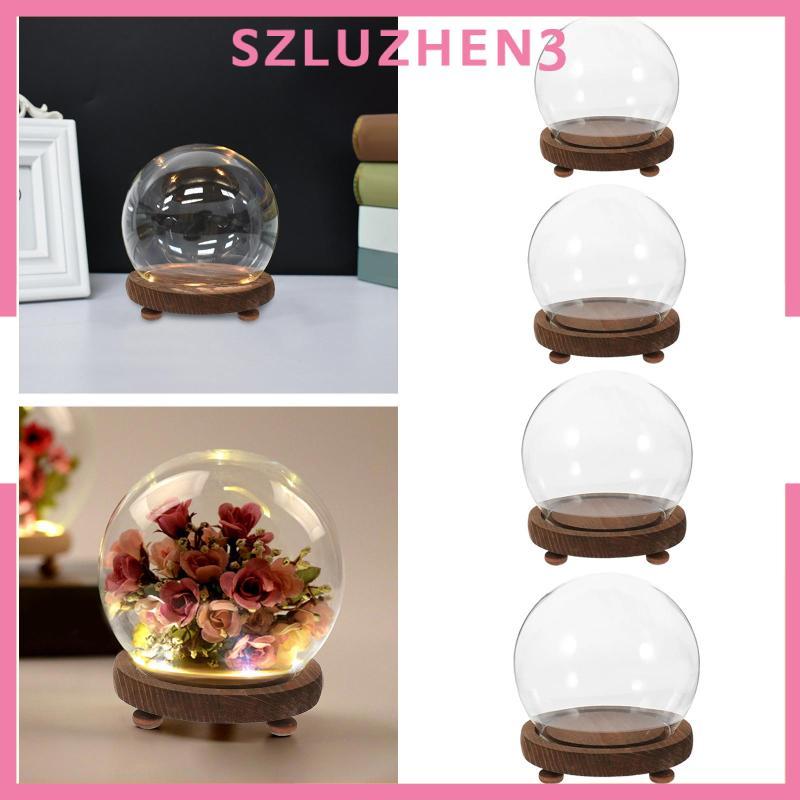 [Szluzhen3] Dome Glass Display Case Terrarium Ball Shaped Stable Clear Dome สําหรับรูปถ่าย