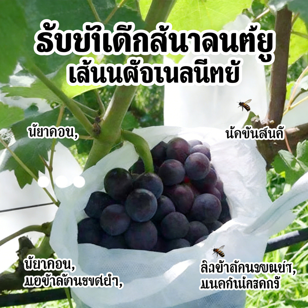 ถุงผ้าป้องกันผลไม้นกต้นกล้า สำหรับวัสดุต้นกล้าผ้าปั่นน้ำองุ่น