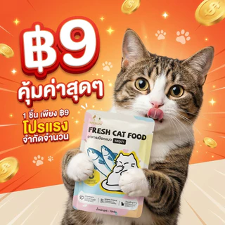 [ส่งเร็วจากไทย] อาหารเปียกแมว [Ketzuzu] 70g โภชนาการสมดุล 100% มีทอรีน บํารุงสายตา