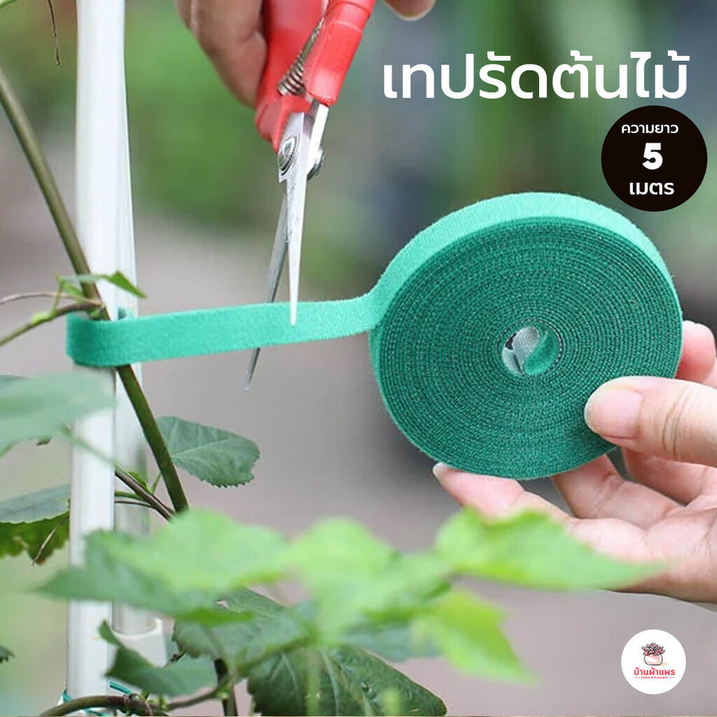 [ 5 เมตร ] เทปรัดต้นไม้ เทปตีนตุ๊กแก ใช้ซ้ำได้ ปรับขนาดได้ตามต้องการ สายรัดกิ่งไม้ สายรัดไม้เลื้อย
