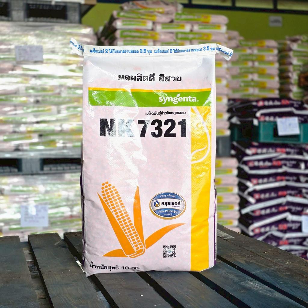 เมล็ดพันธุ์ข้าวโพดลูกผสม เอ็นเค (NK) 7321 3.5หุน สำหรับพื้นที่ราบ ฝักเสมอ ฝักใหญ่ สีสวย  (10 กก.)
