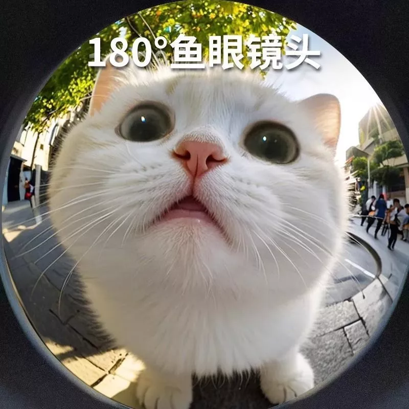 เลนส์เสริมมือถือ ฟิชอาย มาโคร มุมกว้าง สำหรับถ่ายรูป thumbnail 5