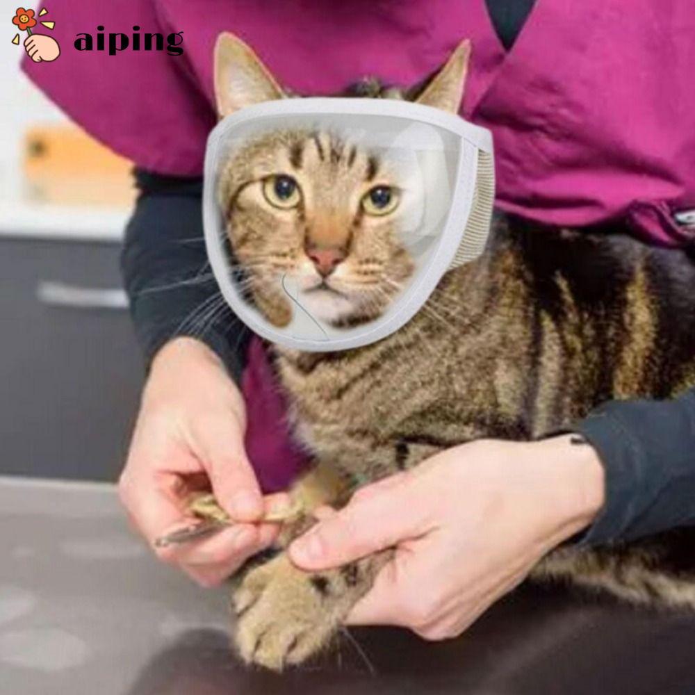 AIPING Kitten Muzzles Transparent Chewing Safety Anti Bite Mouth Guard
