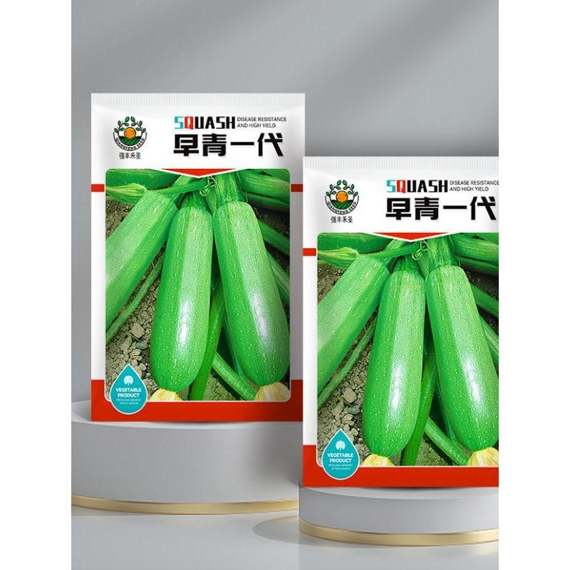 现货*早青一代杂交西葫芦种子西葫种籽占瓜菜茭瓜种子西湖瓜种子西葫瓜Early-maturing hybrid zucchini seeds, zucchini seeds20260331