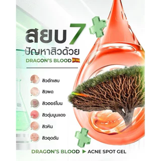 [ซื้อในไลฟ์ลด50%ของแท้] (กล่องx6)สีเขียว เดอะชาร์มมิ่ง ดราก้อนบลัด แอคเน่สปอตเจล7กรัม