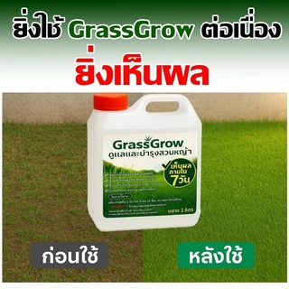 ปุ๋ยน้ำบำรุงหญ้า ให้เขียวสด แก้หญ้าเหลือง ใช้ได้กับหญ้าทุกสายพันธ์ ปลอดภัย บำรุงหญ้าไทเป ปุ๋ยบำรุงหญ้าสนาม