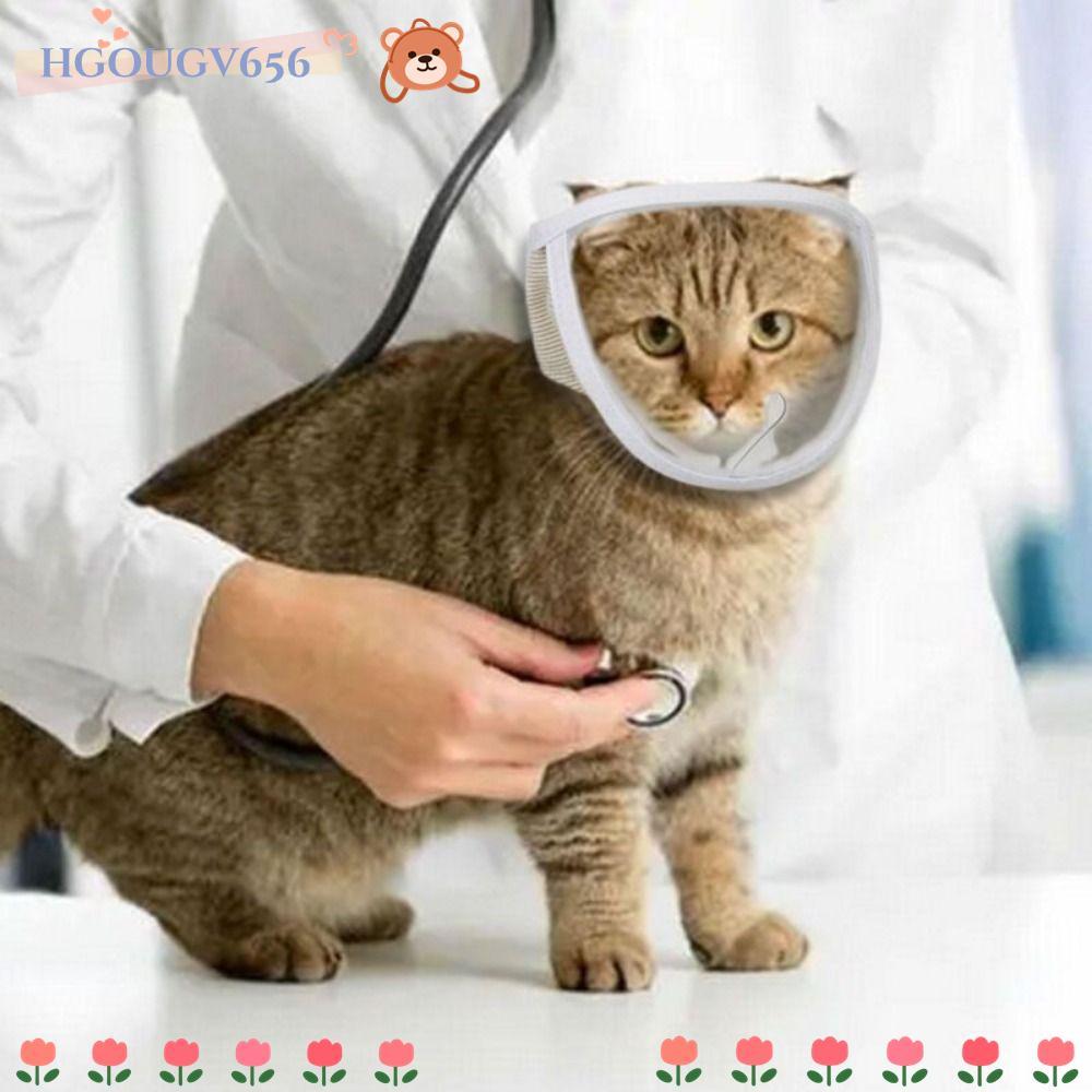 HGOUGVT Cat Muzzle Puppy Kitten Pet Product Anti Bite Mouth Guard