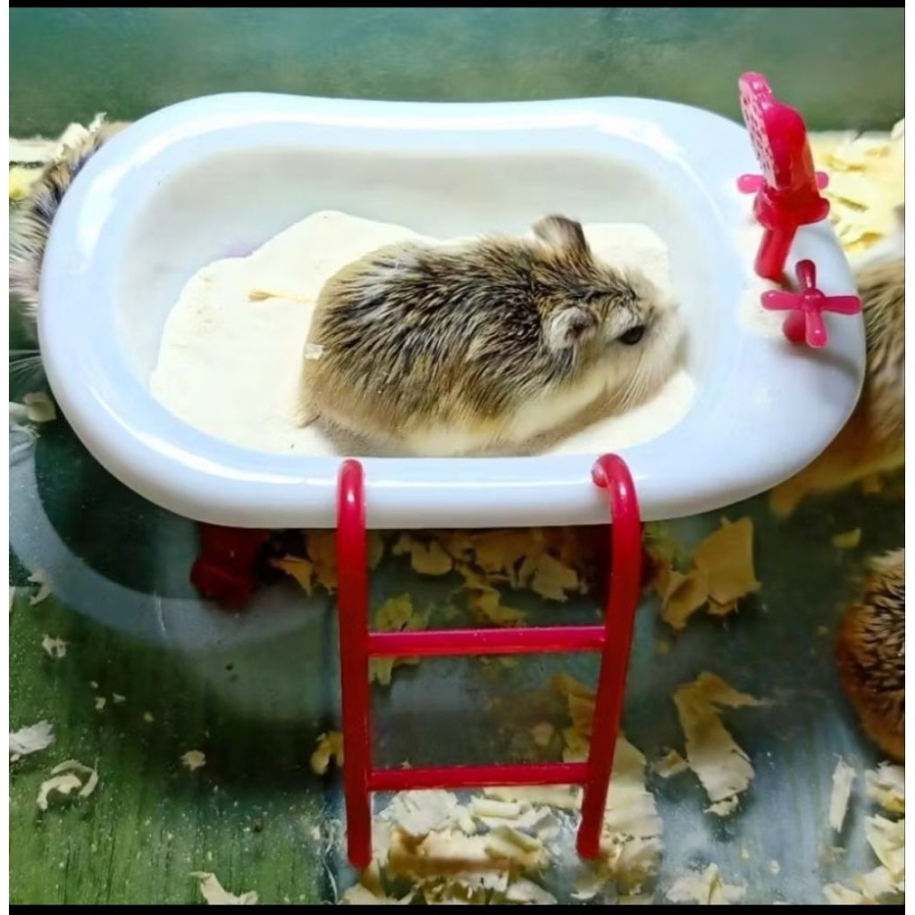 SPECIAL WHOLESALE Sweet Bathroome Hamster bath/hamster sand play place