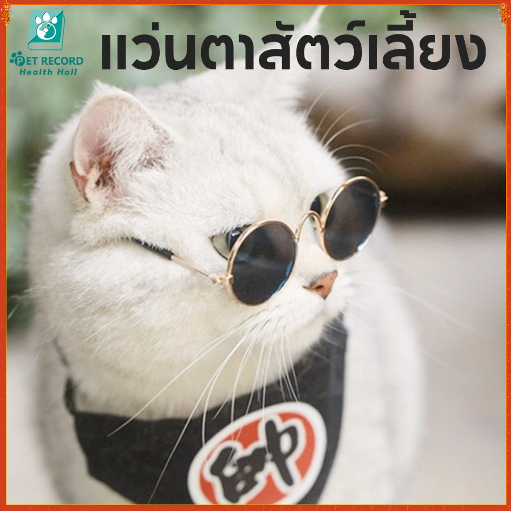 พร้อมส่ง แว่นตาสัตว์เลี้ยง แว่นแมว แว่นสุนัข กันลม กันฝุ่น ดีไซน์น่ารัก แถมฟรีสายคล้องแว่นกันลื่น