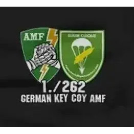 1-262 เสื้อยืด German Key Coy AMF FschJgBtl 262 Company A-E Bundeswehr ผ้าฝ้าย 100% คอกลม แขนสั้น เส