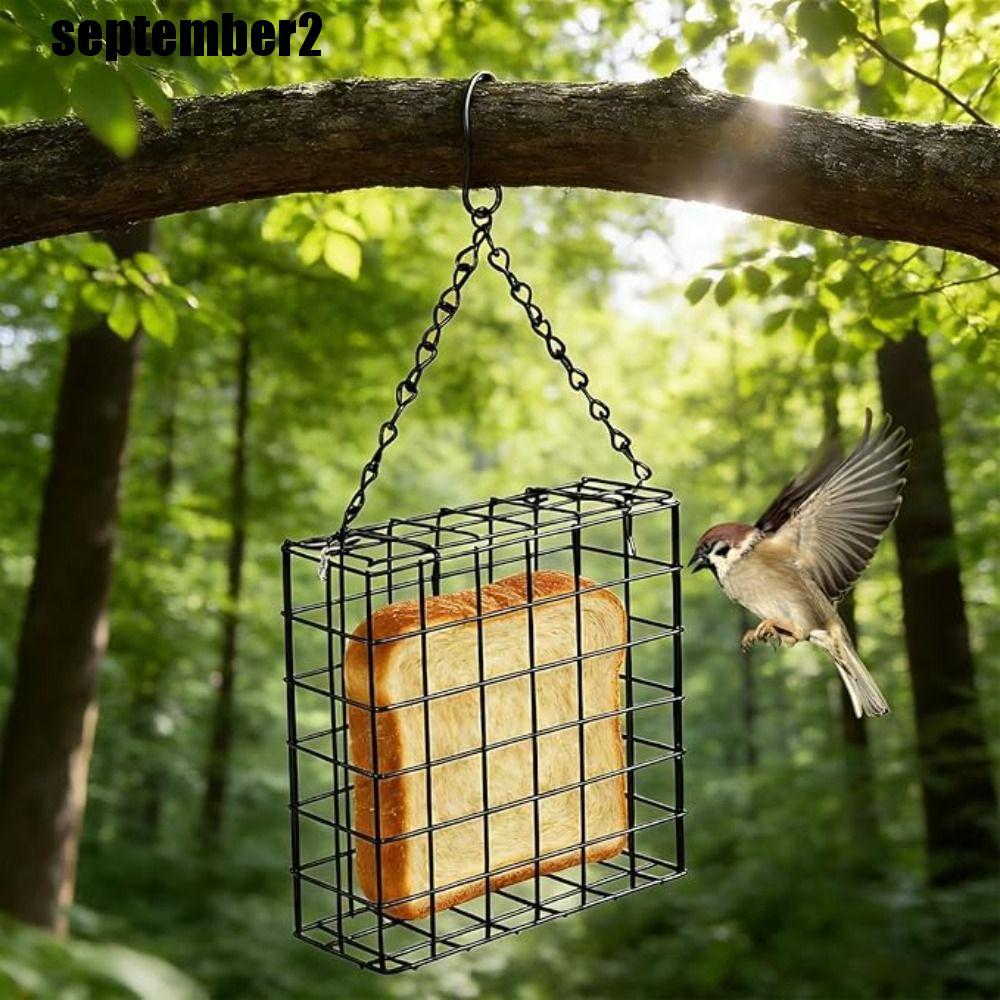SPEPEMBER Suet Ball Bird Feeder, Rustproof Squirrel Proof Bird Food Supplies, Feeding Supplies Metal
