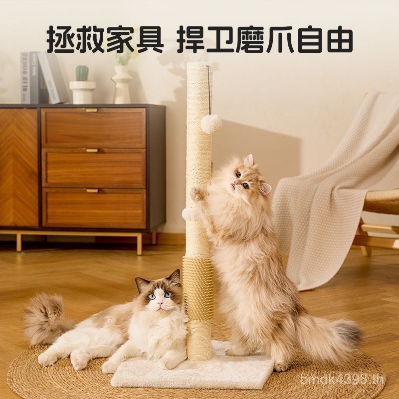 กระดานกรงเล็บแมว แนวตั้ง SW40