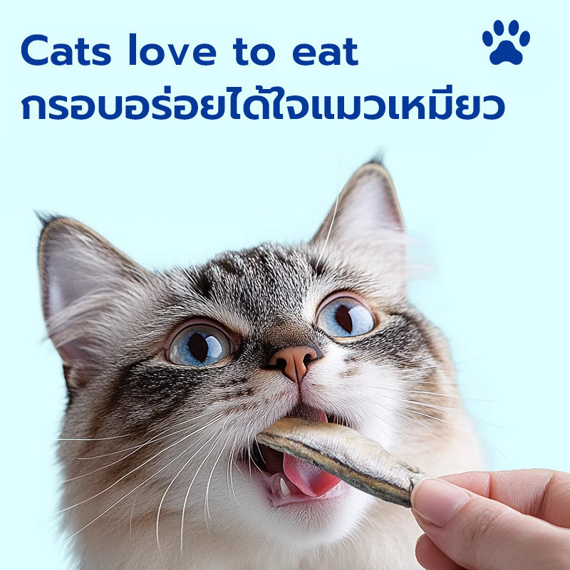 YGปลาไข่ฟรีซดราย ปลาไข่แท้ 100% เกรดA โปรตีนสูง ไม่ใช้วัตถุกันเสีย freeze dried pet treat ขนมแมว ขนมหมา สุขภาพดี ปลอดภัย - รูปที่ 5