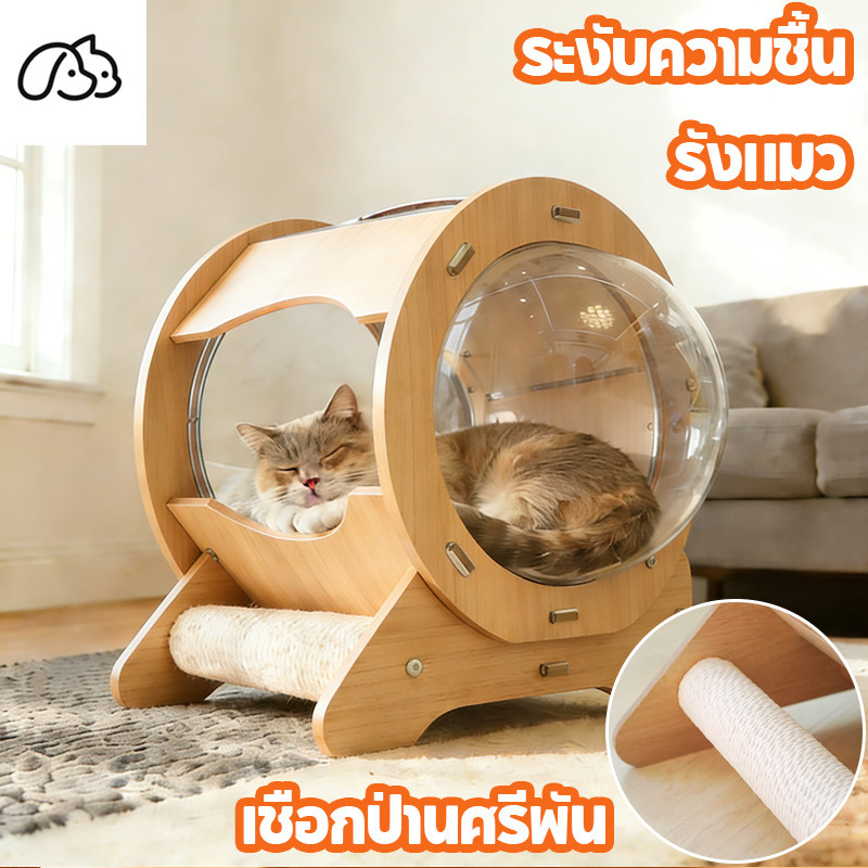 หลุมแมว บ้านแมว คอนโดแมว ที่นอนอวกาศ รูปร่างแคปซูล มีหลุมนอน  หรูหรา ถอดออกได้ งานไม้แข็งแรง