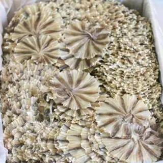 ปลากระเบนวง อร่อย ไม่เค็ม น้ำหนัก 500 กรัม