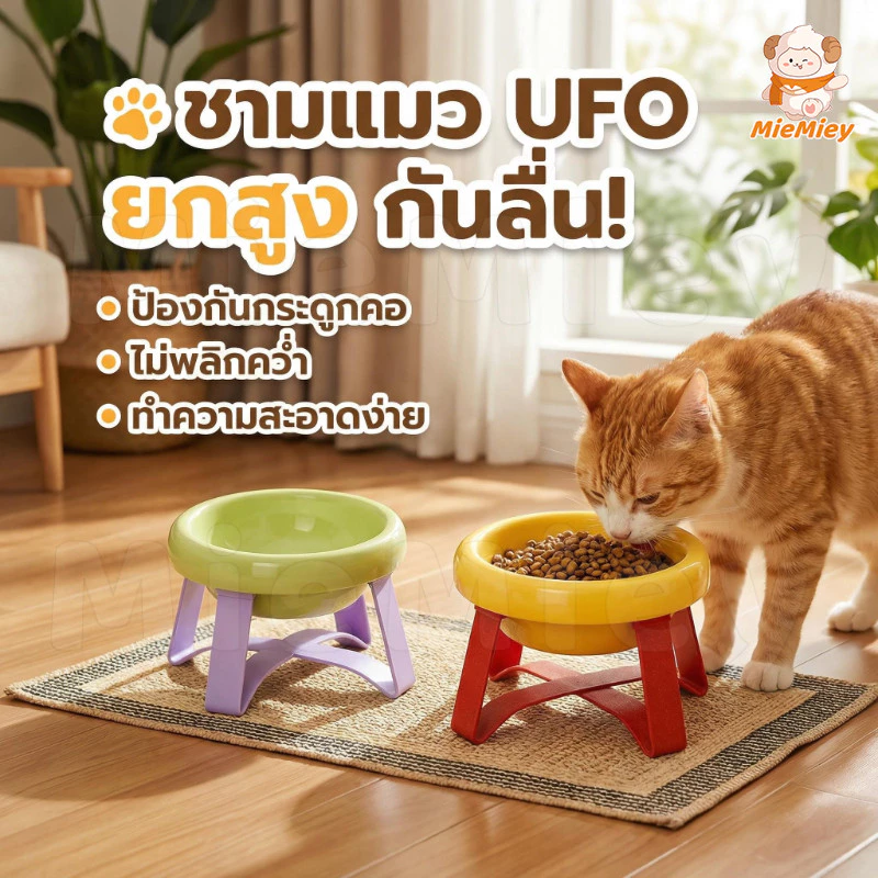 ชามใส่อาหารแมวทรงสูง พร้อมขาตั้ง ช่วยป้องกันกระดูกสันหลัง ลดการก้ม กินสบาย เหมาะสำหรับแมวทุกวัย