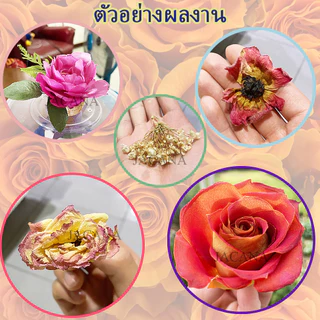 ซิลิก้าเจล อเนกประสงศ์ ดูดความชิ้นได้ดี อบดอกไม้ดอก ใช้แทน ทรายซิลิก้าได้ ราคาถูก ประสิทธิภาพสูง