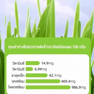 😺หญ้าแมวฟรีซดราย 100g ช่วยขับก้อนขน บำรุงระบบย่อย อาหารเสริมแมวธรรมชาติ