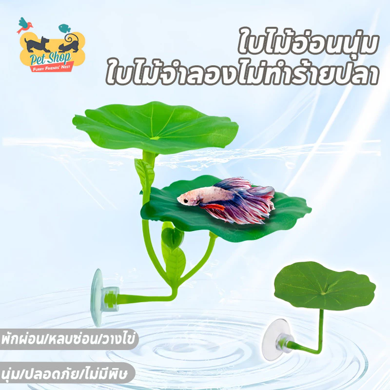 การตกแต่งตู้ปลา ใบไม้ปลอม ใบบัวจำลอง ปล่อยให้ปลาได้พัก การวางไข่ พืชน้ำจำลอง
