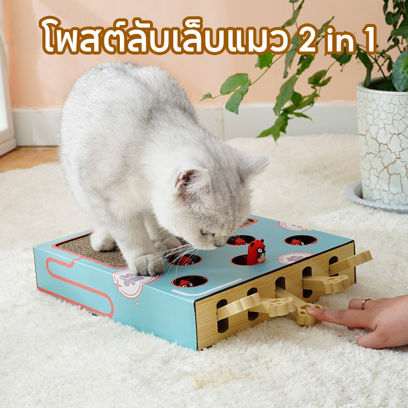 พร้อมส่ง โพสต์ลับเล็บแมว 2 in 1 ของเล่นแมวตลก กล่องแมวงง ที่ฝนเล็บแมว กล่องแมวตบ รุ่น2in1 ของเล่นแมว