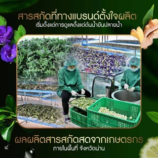 แพ็คคู่ถูกกว่า ไบโอเวช แชมพู ครีมนวด แฮร์โทนิค เร่งผมยาว ป้องกันผมร่วง ผมเสีย สมุนไพรแท้ 225ml.