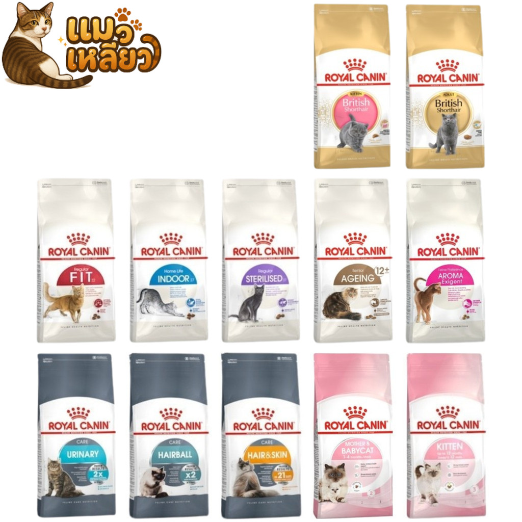 Royal Canin อาหารแมว: เลือกสูตรตรงใจ ลูกแมว-แมวโต บำรุงครบ 2 กก.