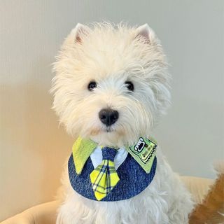 เตรียมใจ สไตล์ยีนส์สัตว์เลี้ยงน้ําลายผ้าขนหนูเสื้อเชิ้ตสีขาว…