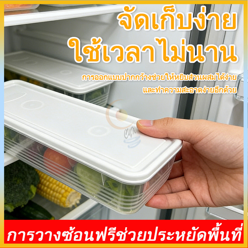 กล่องเก็บอาหารในตู้เย็น กล่องเก็บผักชีและหัวหอม วัสดุ PP ทนทาน เก็บผลไม้ได้ รักษาความสดของอาหาร