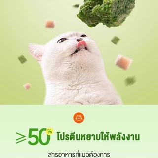😺หญ้าแมวฟรีซดราย 100g ช่วยขับก้อนขน บำรุงระบบย่อย อาหารเสริมแมวธรรมชาติ