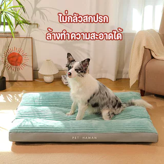 Mango ที่นอนสัตว์เลี้ยง เบาะหมาใหญ่ S/M/L/XL นุ่ม สบาย ที่นอนแมว 4 ขนาด ที่นอนสัตว์เลี้ย
