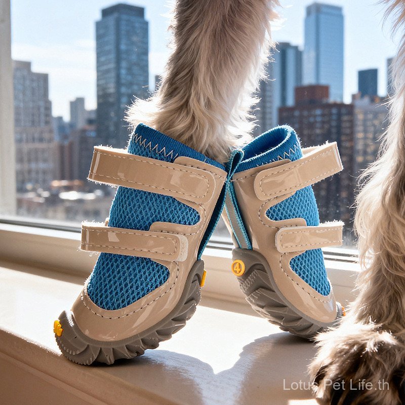 Teddy Boots Shoes Dropped Feet Double Anti-Wear Dog All-Match Shoes Lace-Up Dogs Dogs Net Good Four 