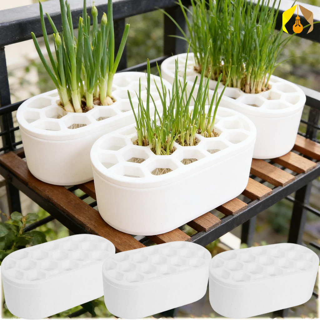 Soilless Hydroponic กระเทียม Sprout ผัก Planter- Compact Kitchen Scallion ต้นหอมกุ้ยช่ายรุ่นปลูกปลูกปลูกกระถาง