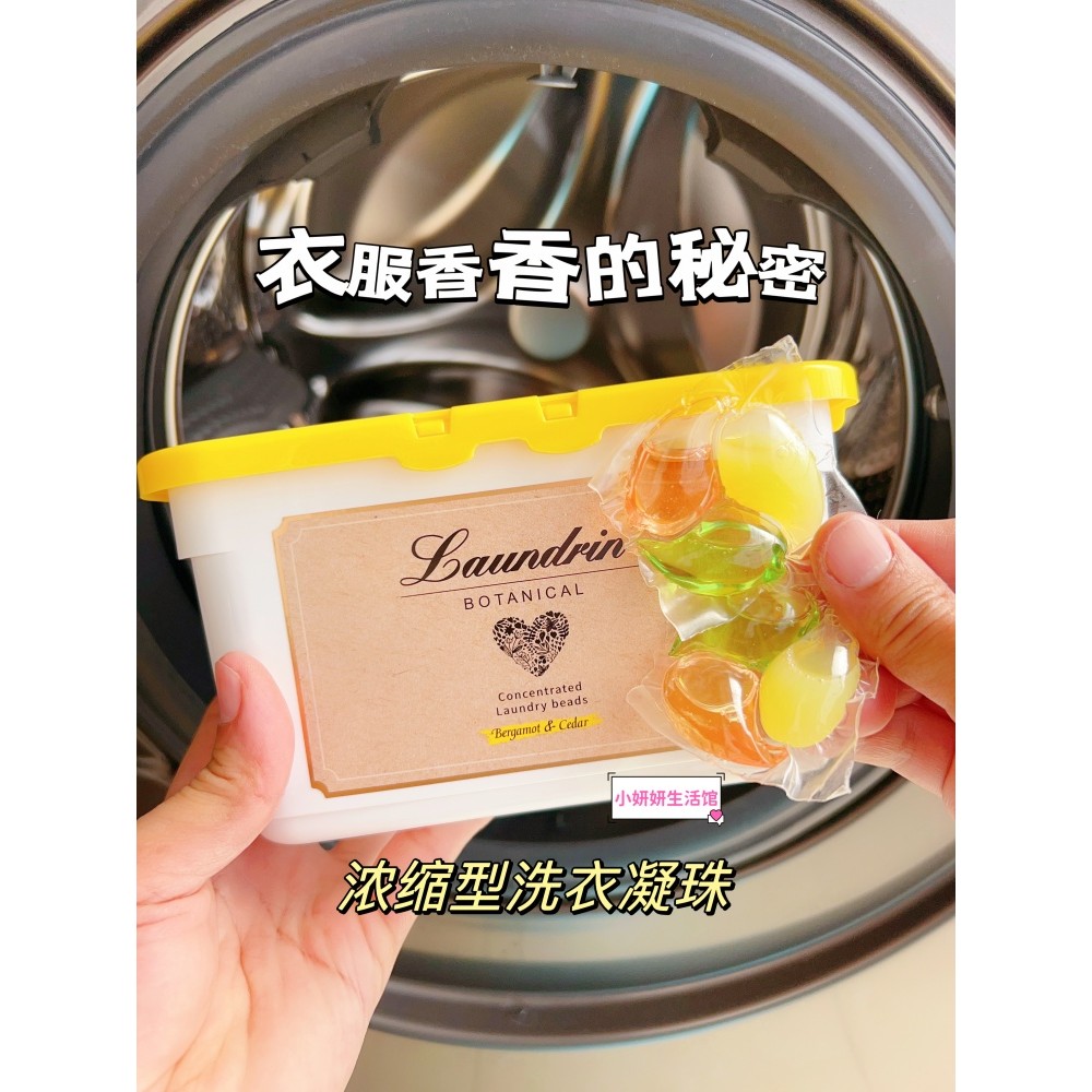 Bergamot Cedar Fragrance Laundrin Laundrin Laundrin Laundry Gel Bead Fragrance Laundry Liquid Laundr