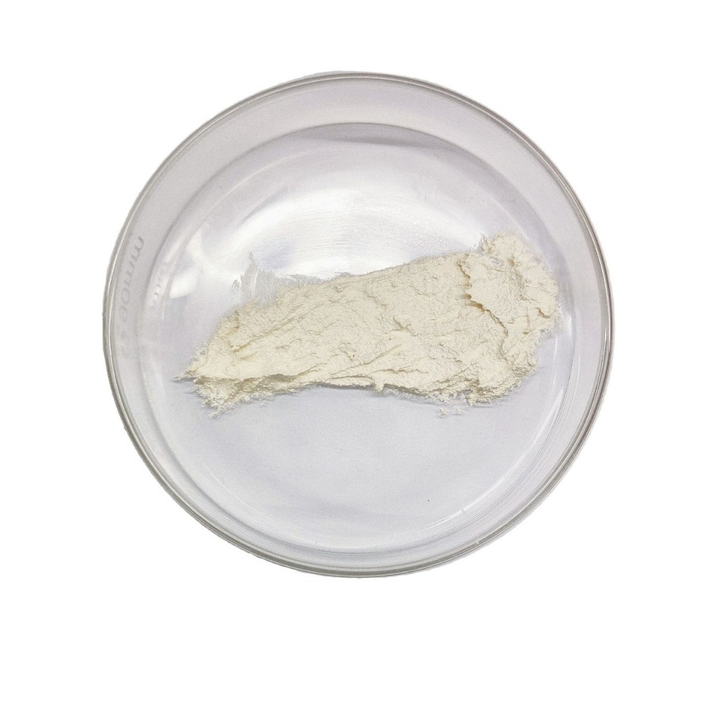 Lady Cream Hydrating Moisturizing คอนซีลเลอร์ Firming Face Cream Base Face Cream Brightening Skin To