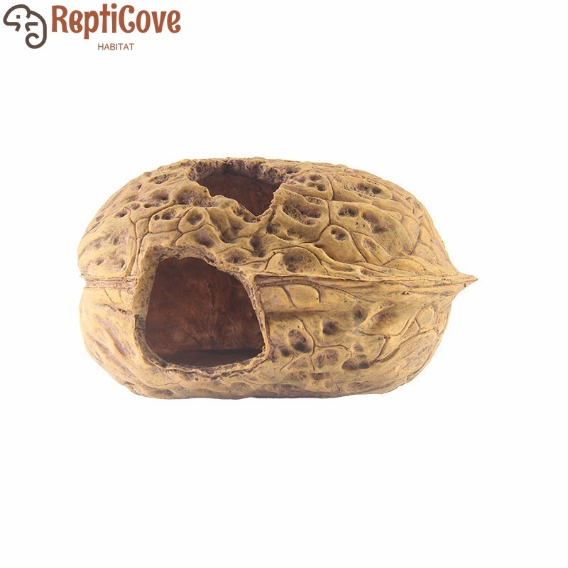 เรซิ่นวอลนัทจําลอง Hinding House สําหรับปีนเขาสัตว์เลี้ยง Lizard Snake Palace Guard Eyelash Horn She