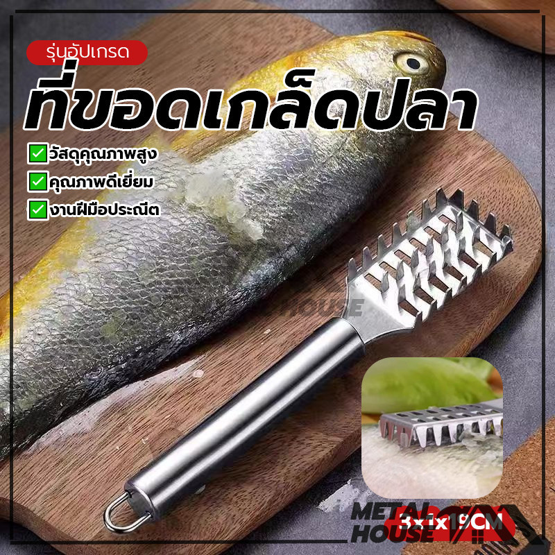 ที่ขอดเกล็ดปลา ที่ขูดเกล็ดปลา สแตนเลส ที่ขูดเกล็ดปลาสแตนเลส อดเกร็ดปลา แข็งแรง ทนทาน ไม่เกิดสนิม