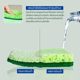 ฟองน้ำล้างจานเยื่อไม้ขัด2ด้าน แบบติดสก๊อตไบร์ท ล้างจานชามไม่เป็นรอยขัดคราบน้ำมัน แผ่นขัดเยื่อฝ้าย ใยขัด สก็อตไบร์ท ครัว