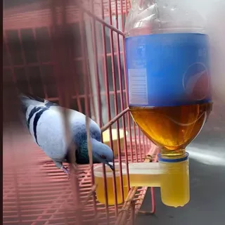 ที่ให้น้ำนกแบบสองถ้วย ที่ให้น้ำไก่ birdน้ําดื่มถ้วยคู่นกชาม 5/10/25รายการ ใช้ได้กับขวดน้ำมาตรฐานส่วนใหญ่