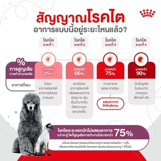 Royal canin อาหารเม็ดแมว สูตรโภชนาการเฉพาะ ทางการแพทย์ขนาด 1.5kg