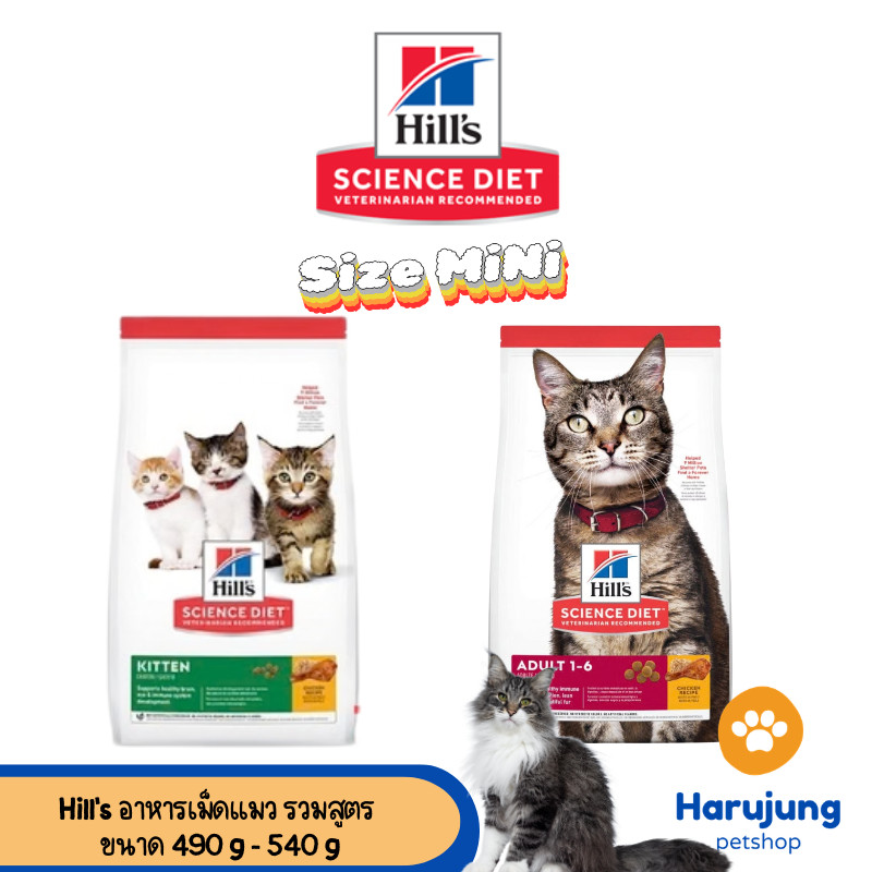 Hill's Science Diet Cat ฮิลล์ อาหารลูกแมว แมวโต แมวสูงวัย  490 g - 540 g