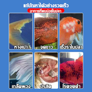 เมทิลีน บลู ปรับสภาพน้ำ ลดเชื้อราและแบคทีเรีย สำหรับปลาสวยงาม235ml ดับกลิ่นเหม็น และปรับปรุงคุณภาพน้ำบ่อเลี้ยงสัตว์น้ำ