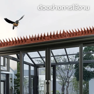 MAS 43X4X3.5CM หนามไล่นก หนามนก อุปกรณ์ไล่นก อุปกรณ์ไล่แมว กันนกเกาะ อุปกรณ์ไล่นกทำรัง ทนทาน