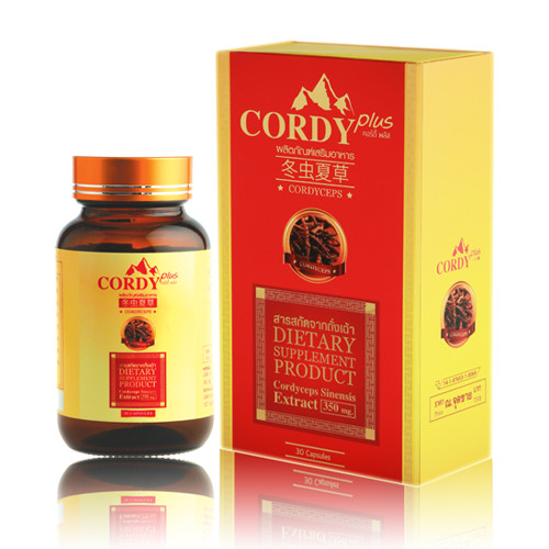 Cordy Plus Cordyceps Cordy Plus อ.วิโรต์ 1 กล่อง