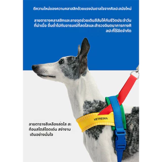 VETRESKA สุนัขสัตว์เลี้ยงสุนัขหลังลากเชือกชุดสูทชุดอย่างรวดเร็วสุนัขขนาดใหญ่และขนาดกลางฟางห่วงโซ่ [QINGXI _ PET]