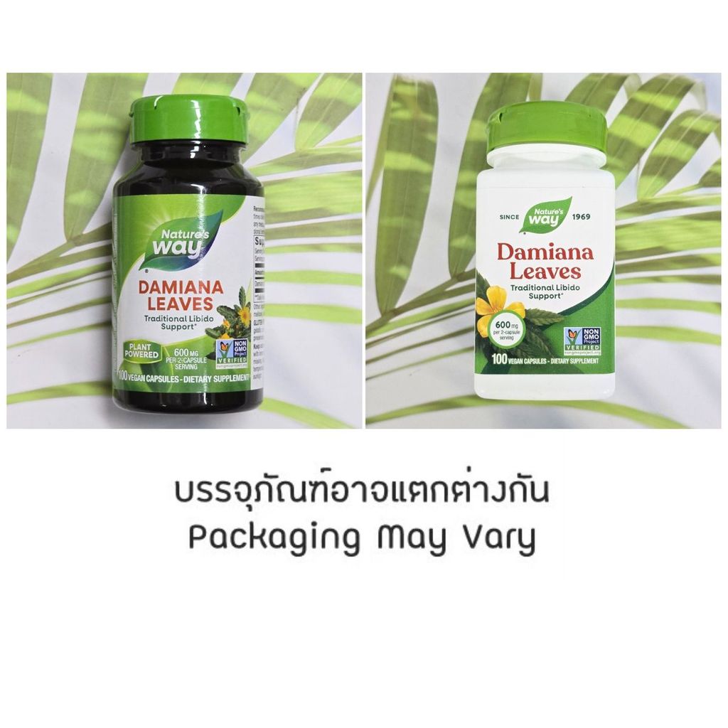 ใบแดมเมียนา Damiana Leaves 600mg 100 Vegetarian Capsules (Nature's Way®)