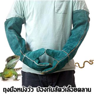 ถุงมือผ้ากันกัด ถุงมือกันข่วน ถุงมือสัตว์ ถุงมือผ้ากันกัด สำหรับการจับสุนัข แมว ชูการ์ กระรอก แฮมสเตอร์