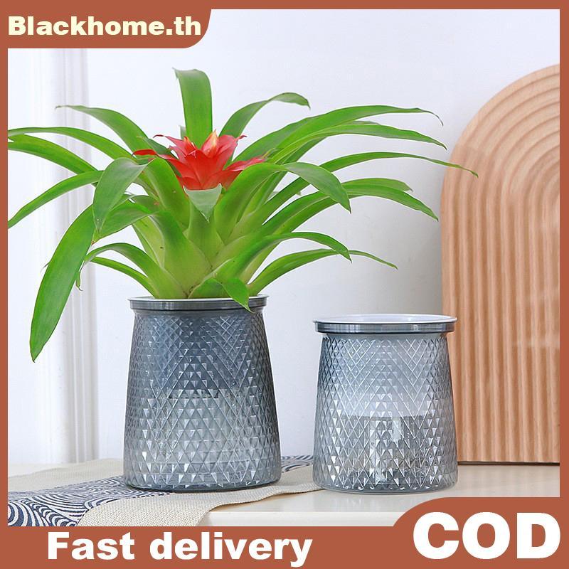 ACK รดน้ําต้นไม้หม้อพลาสติกใสแจกันดอกไม้ Double-layer อัตโนมัติ Lazy Potted Hydroponic หม้อ Garden H