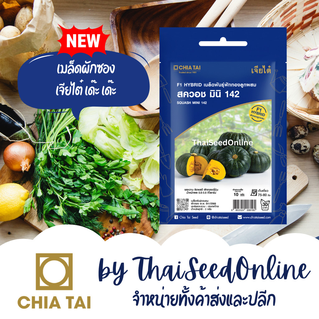 CTSE เมล็ดพันธุ์ สควอช ฟักทอง มินิ 142 2กรัม ตราเจียไต๋ Mini 142 Small Pumpkin Seeds