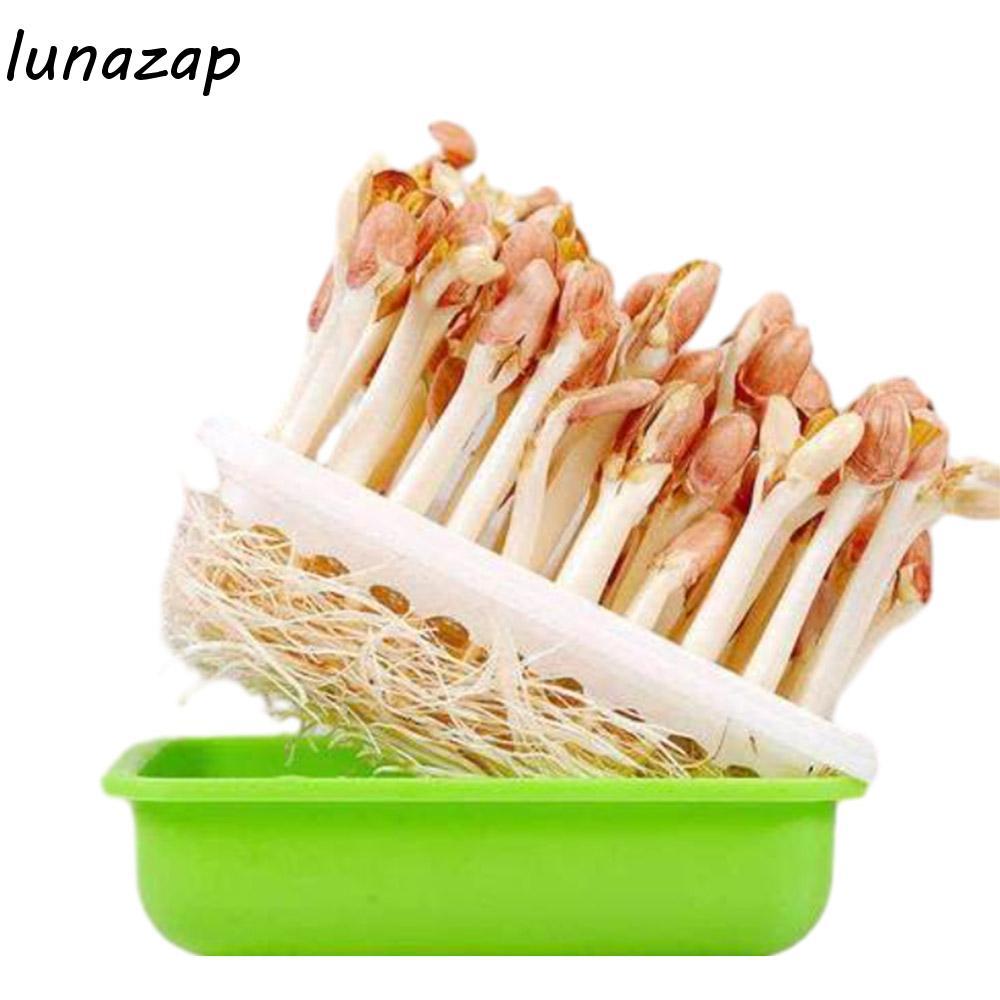 LUNAZAP ถาดต้นกล้า Ease To Clean Hydroponic Garlic 4 ชิ้น Bean Sprout Plant Sprout Plant กล่องปลูก